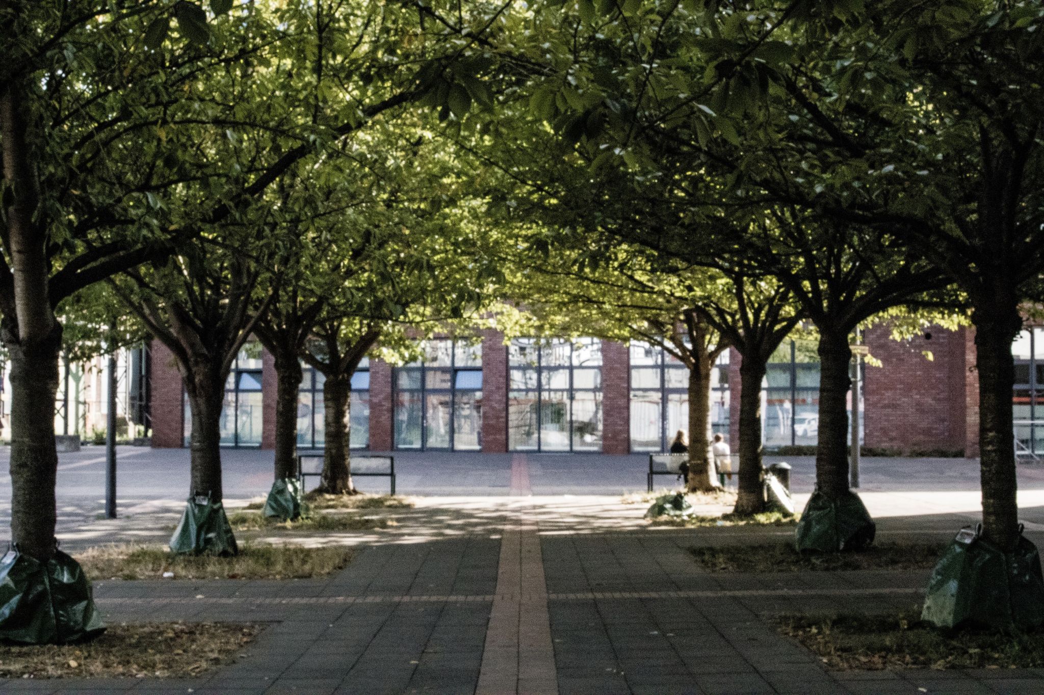 Halle Kalk, Germany