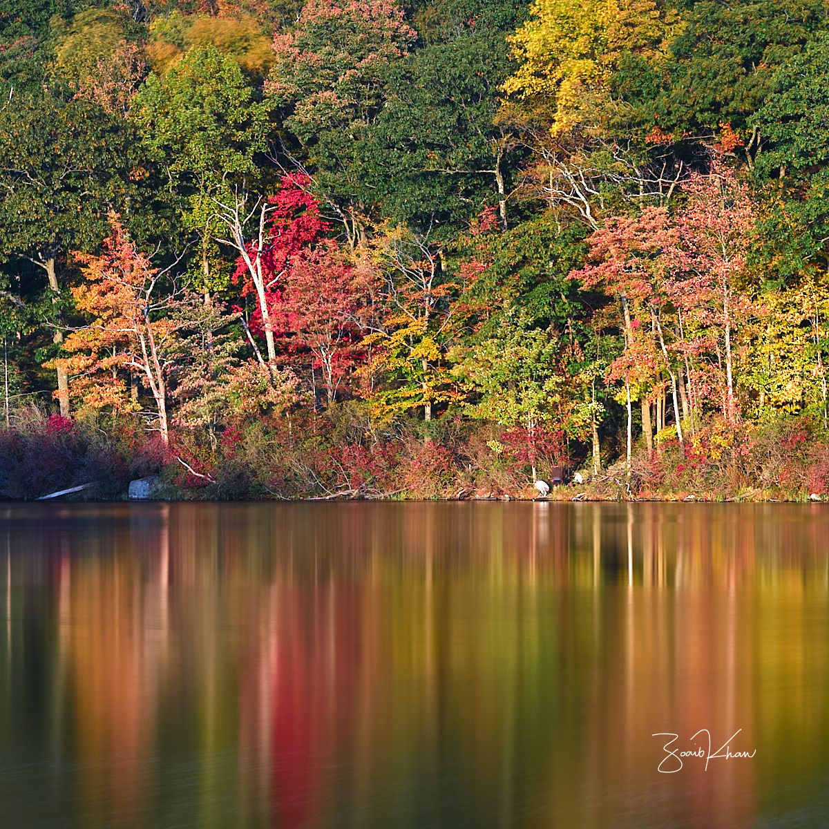 Harriman State Park, NY, USA
