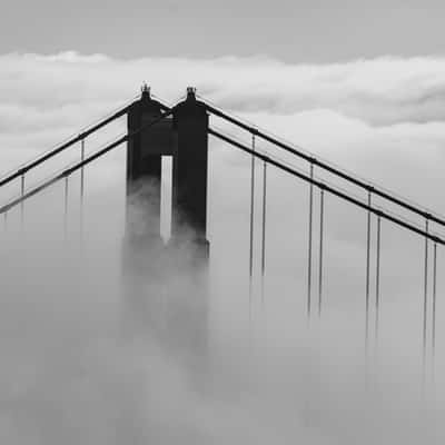 Hawk Hill, Marin Headlands, CA., USA, USA