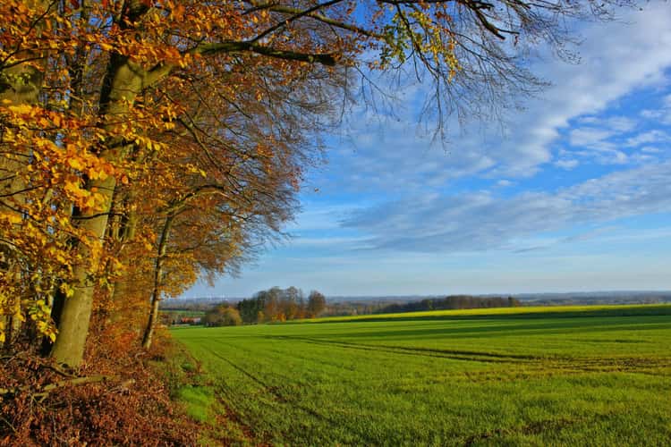 Herbst in den Baumbergen