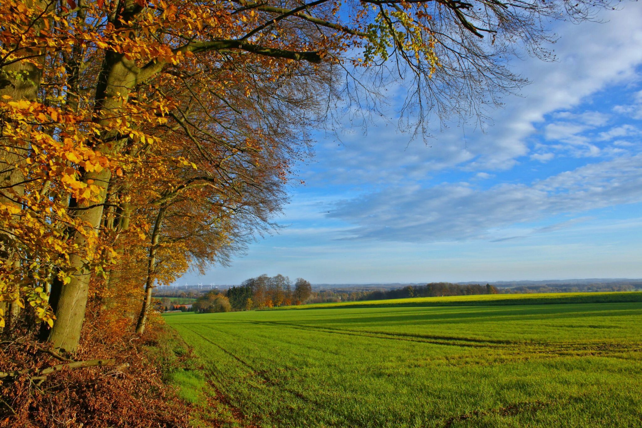 Herbst in den Baumbergen, Germany