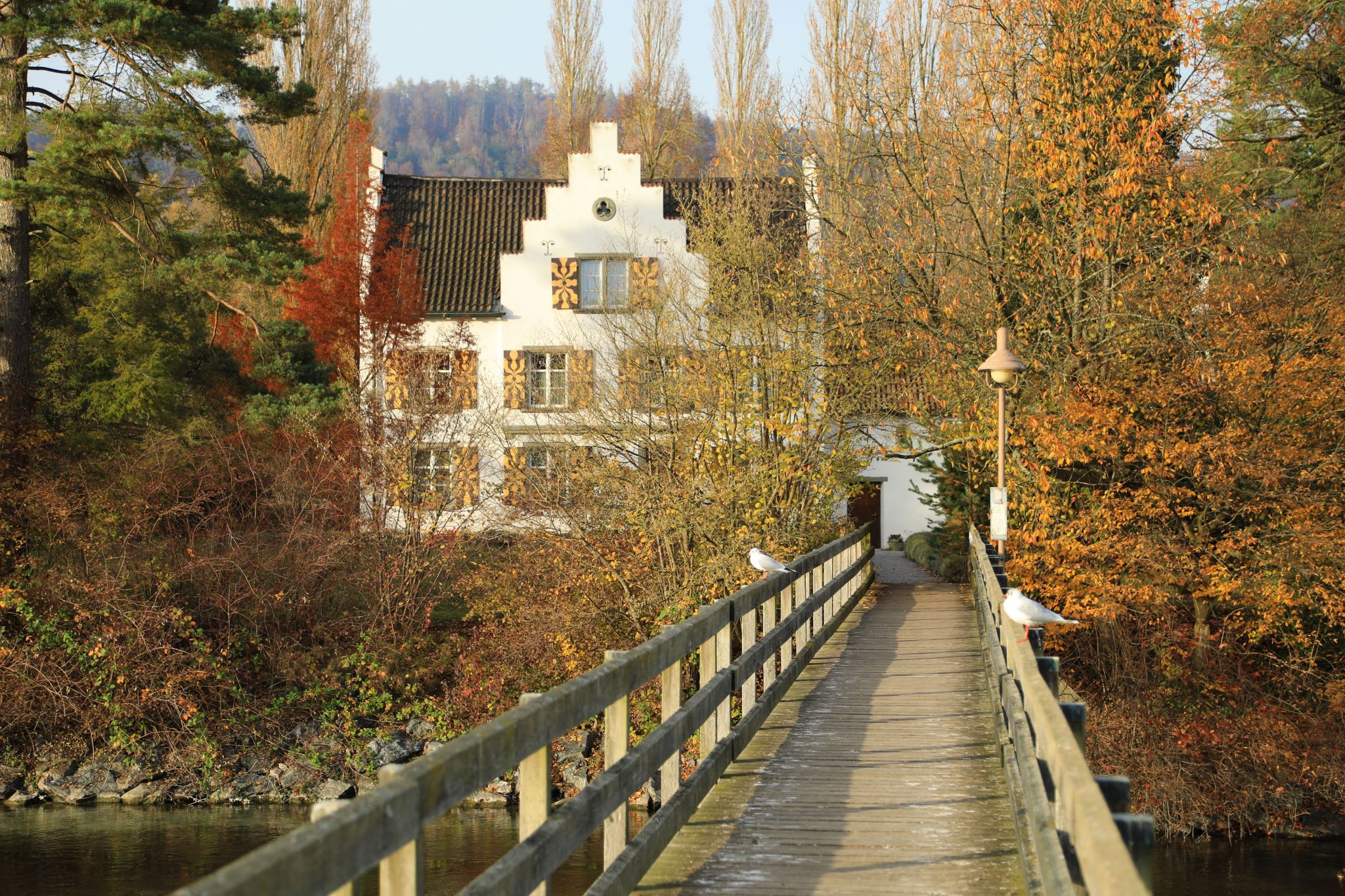 Insel Werd, Switzerland