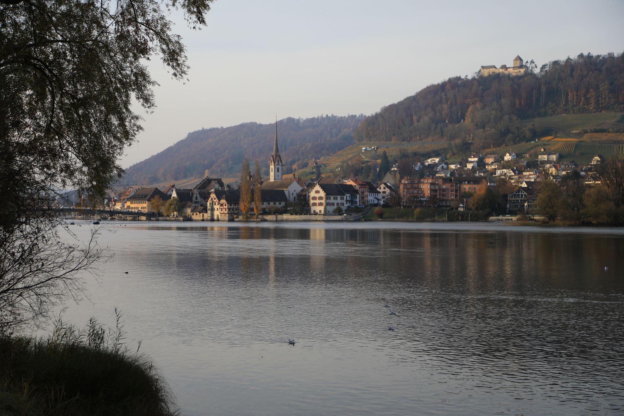 Insel Werd, Switzerland