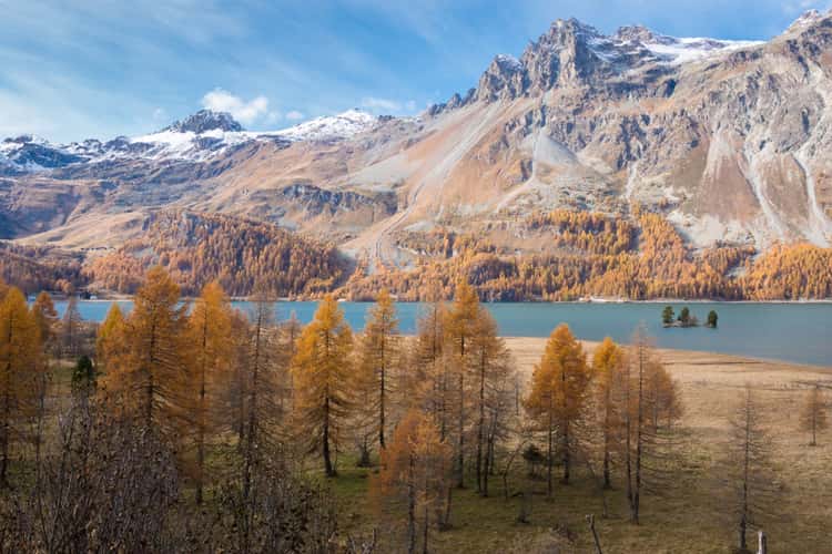 Isola