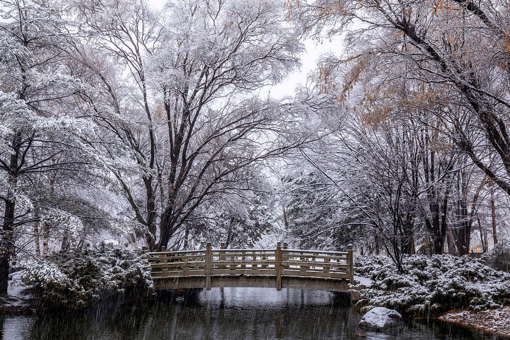 Kariya Park Winterland, Canada