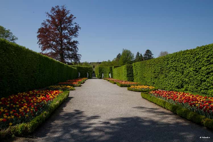 le jardins