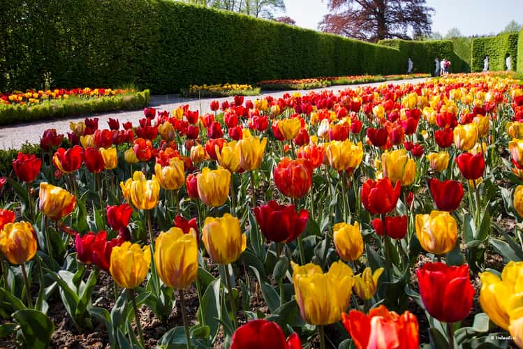 le jardins