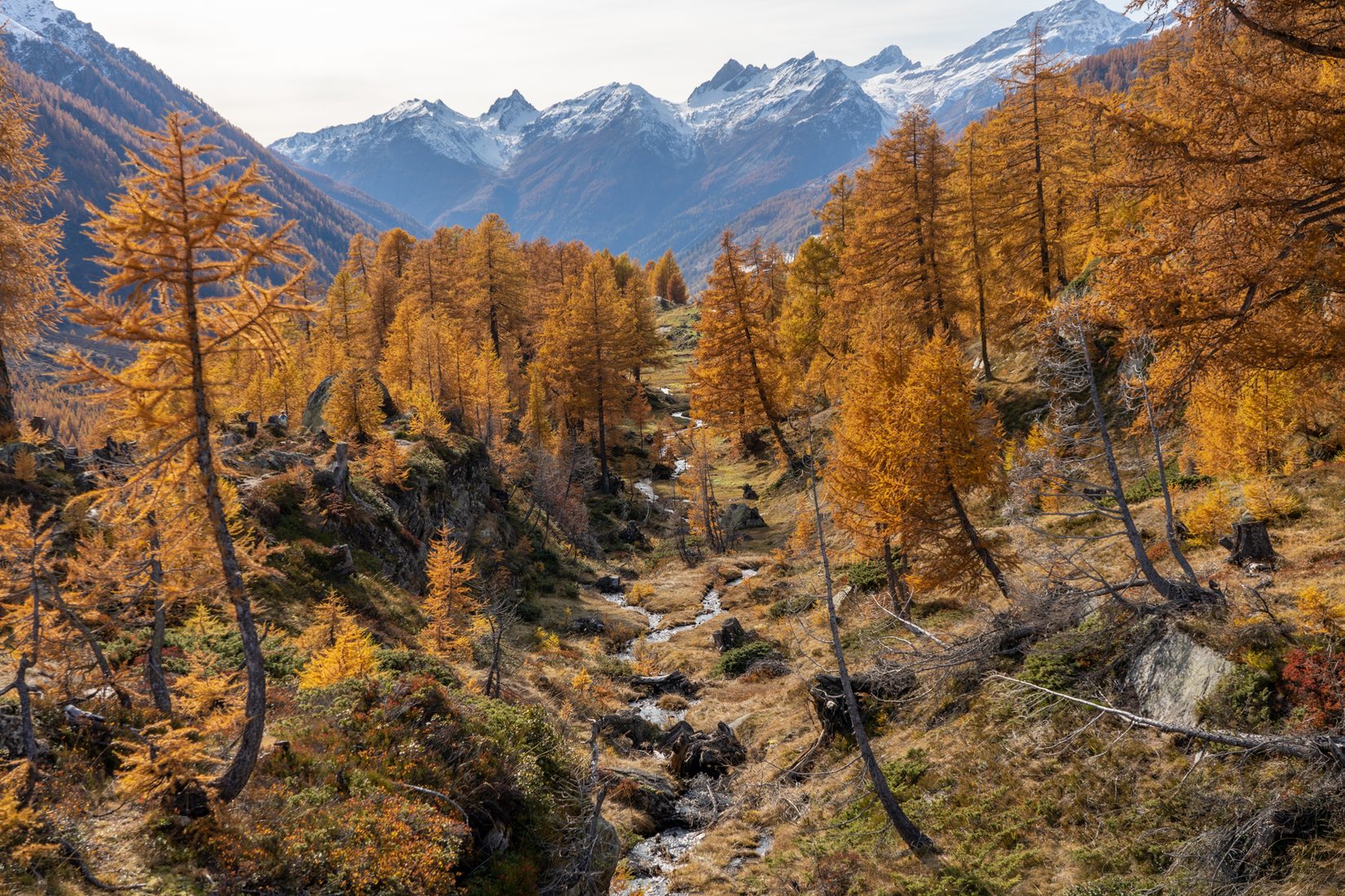 Lotch Valley, Switzerland