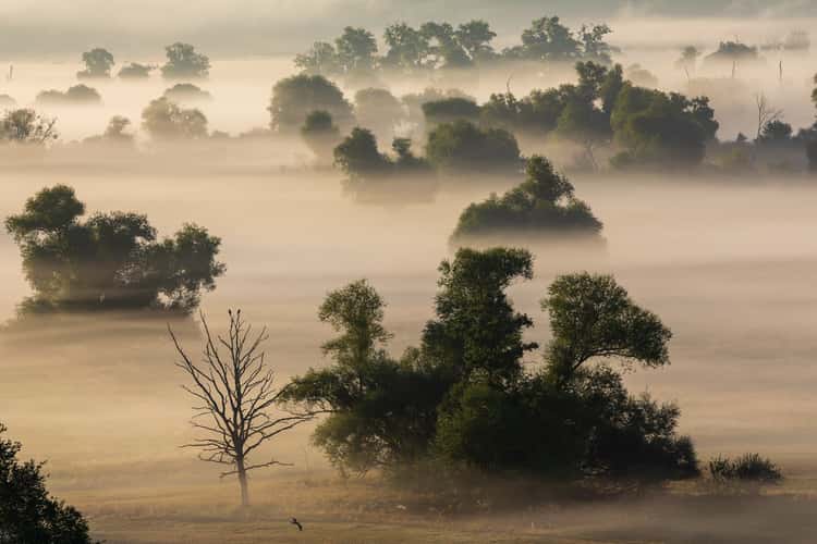 Lower Oder Valley National Park near Stolpe