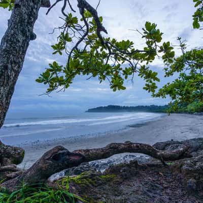 Manuel Antonio National Park, Costa Rica