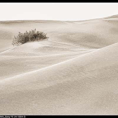 Mesquite Flat Sand Dunes, USA