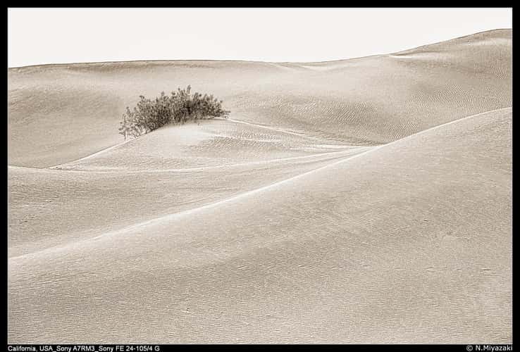 Mesquite Flat Sand Dunes