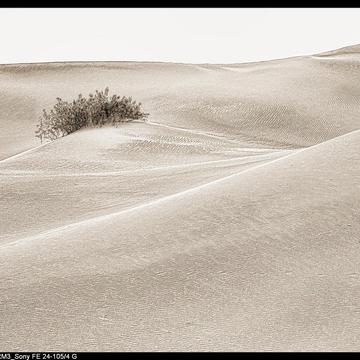 Mesquite Flat Sand Dunes, USA