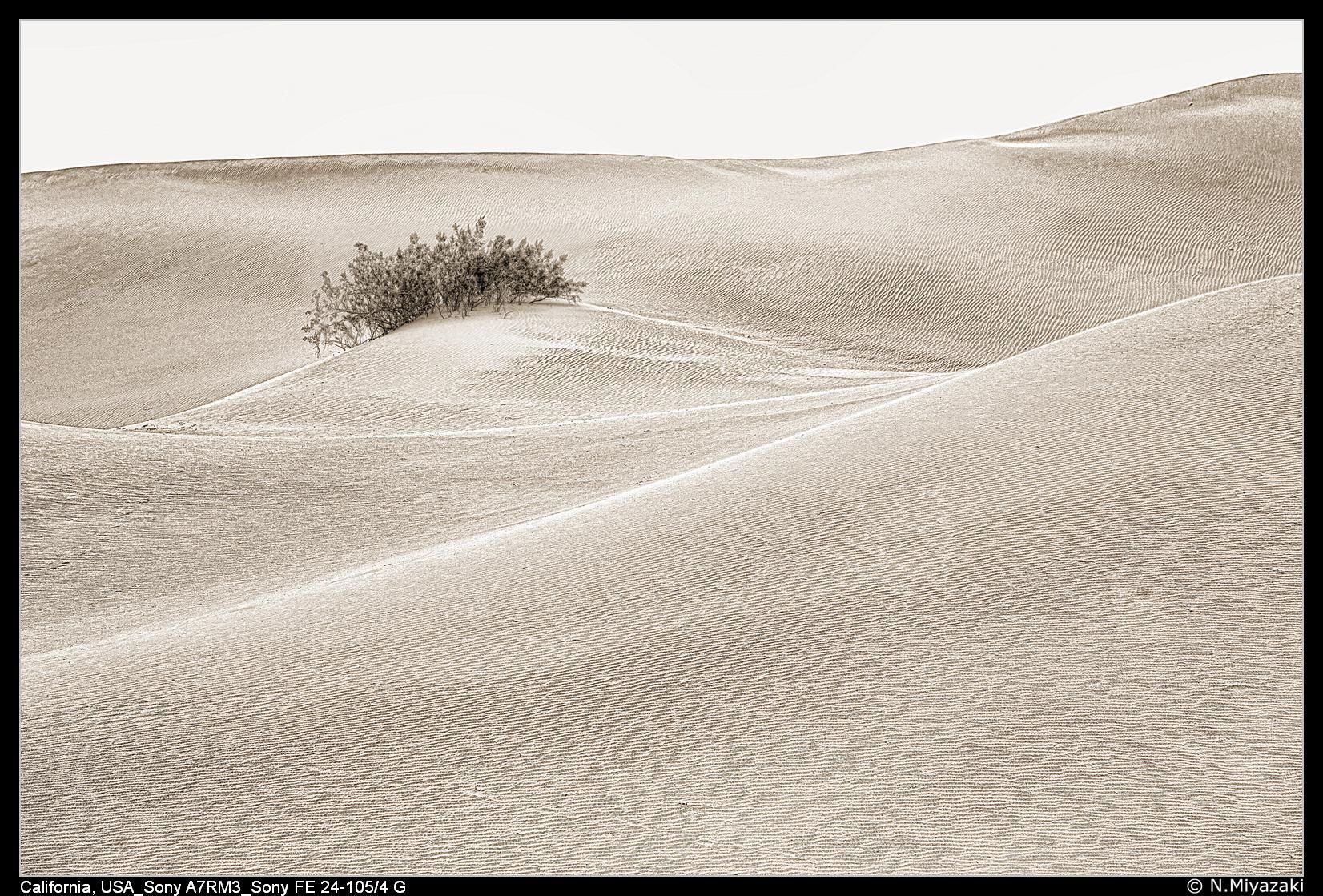 Mesquite Flat Sand Dunes, USA
