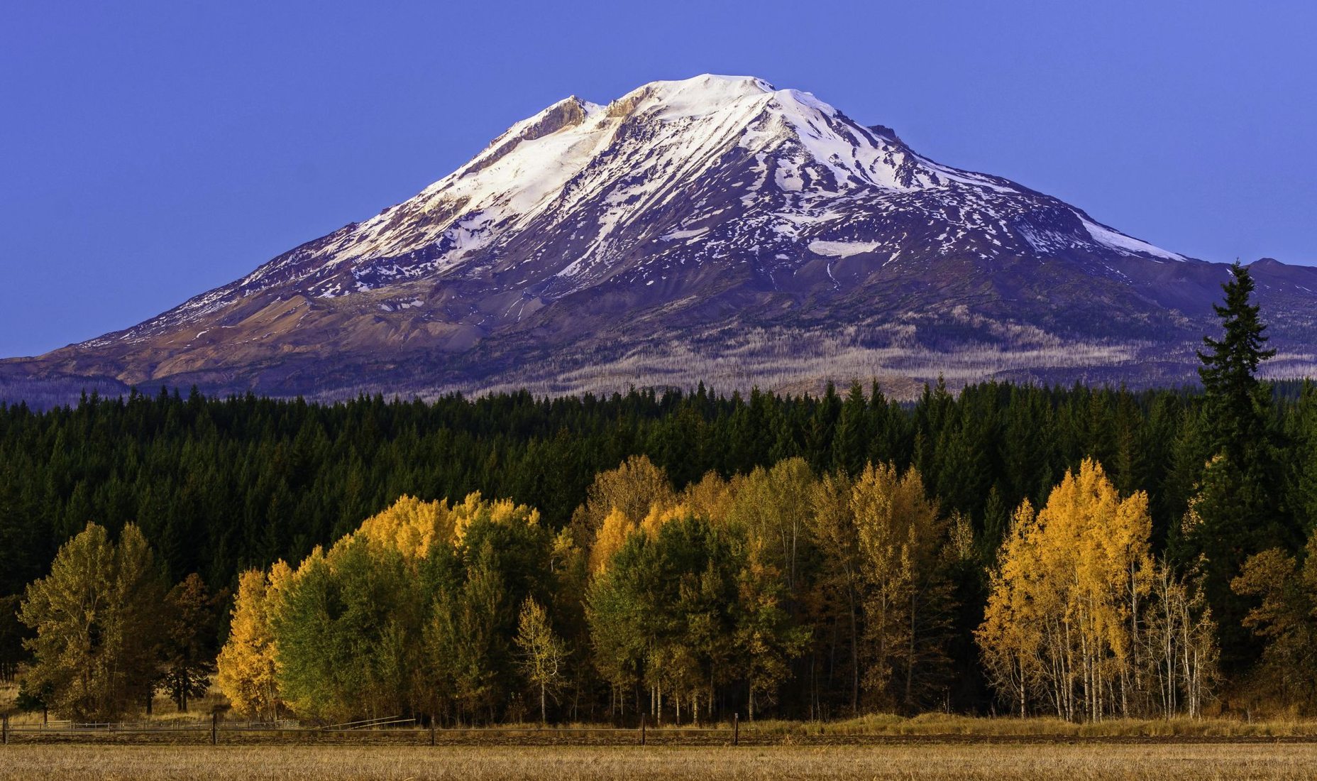 Mount Adams from Trout Lake Road, USA