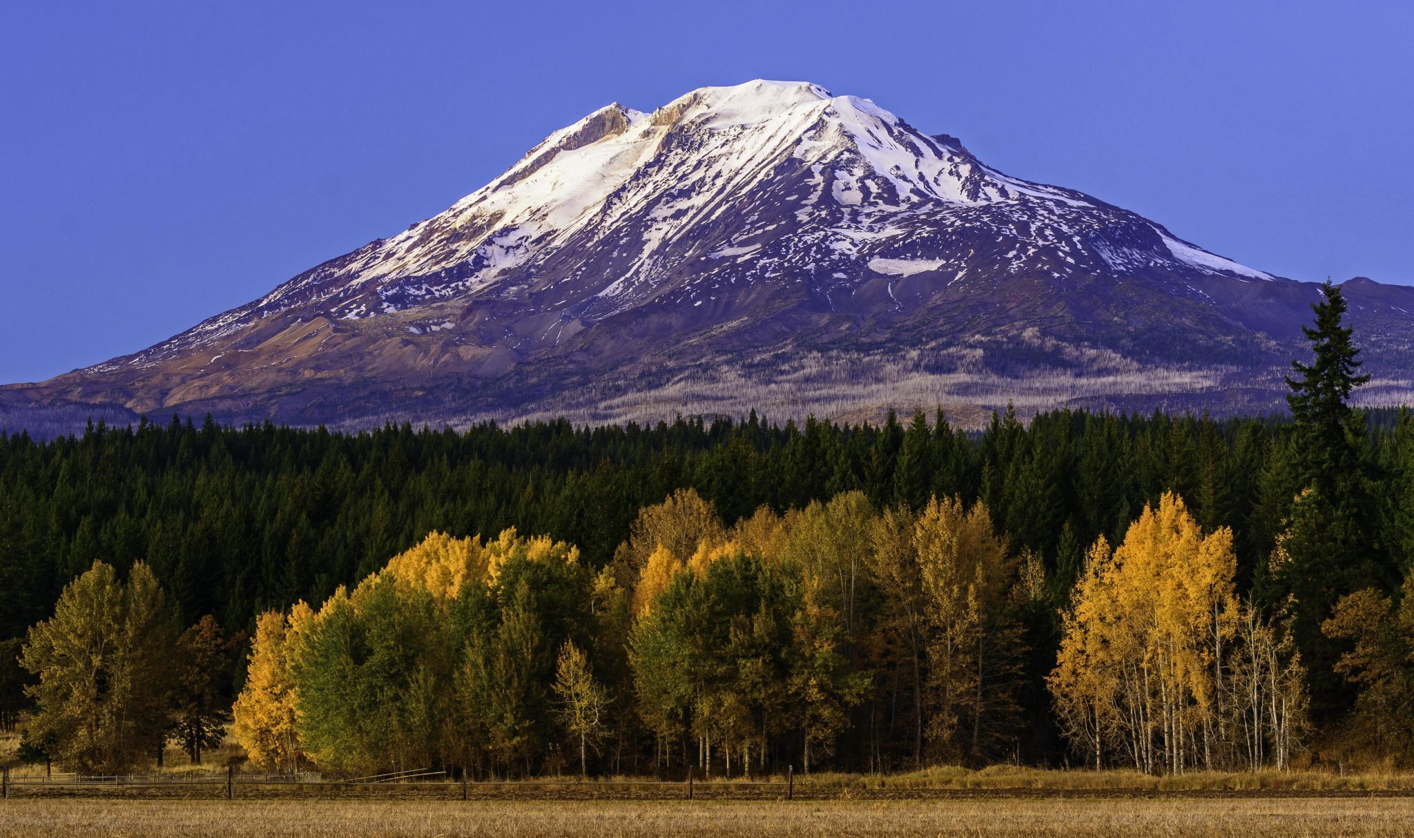 Mount Adams from Trout Lake Road, USA