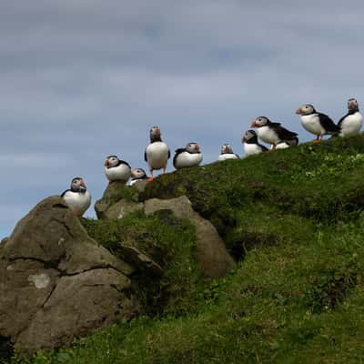 Mykines, Faroe Islands