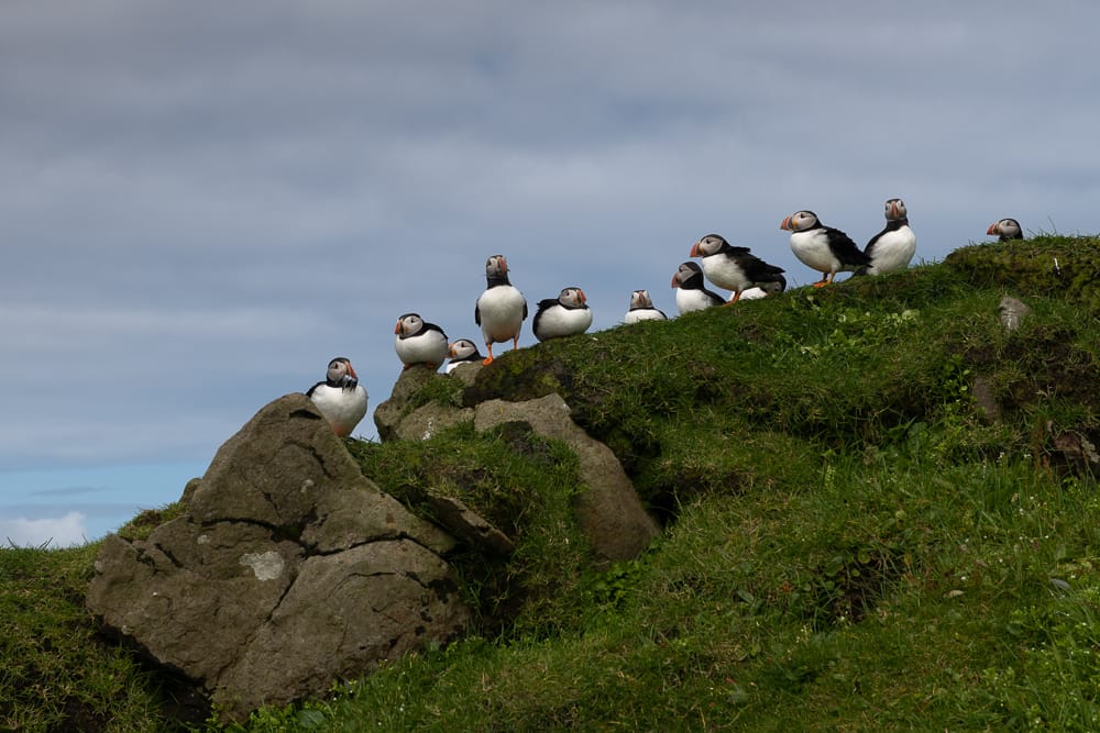 Mykines, Faroe Islands