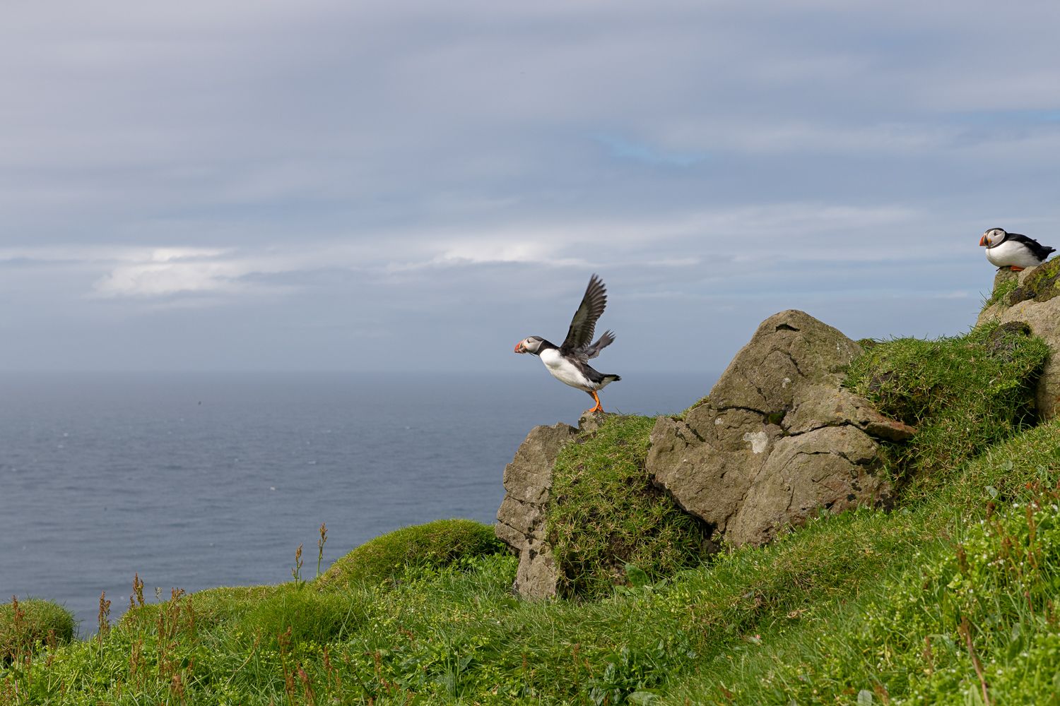 Mykines, Faroe Islands