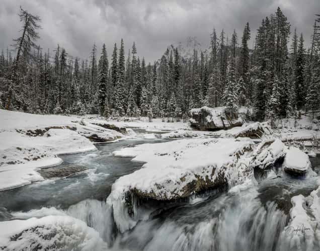 Natures Bridge