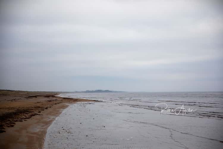 Östra stranden, Halmstad, Sweden