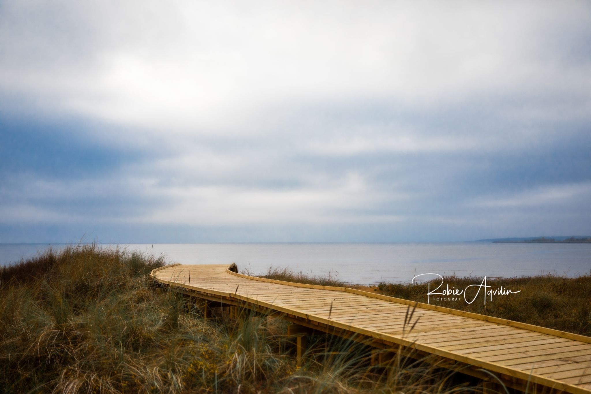 Östra stranden, Halmstad, Sweden, Sweden
