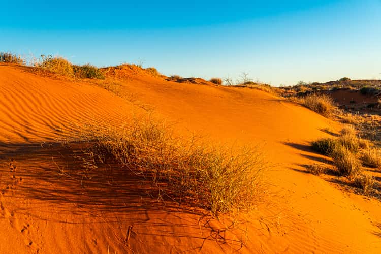 Oodnadatta Track