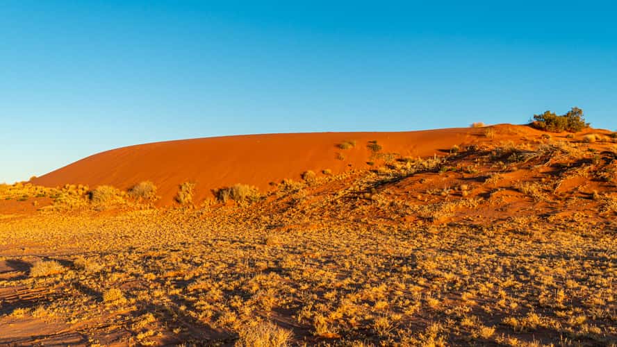 Oodnadatta Track