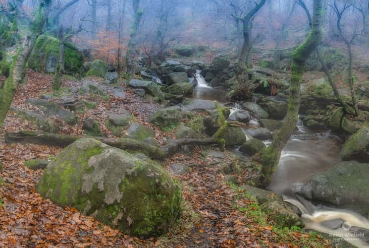 Padley gorge