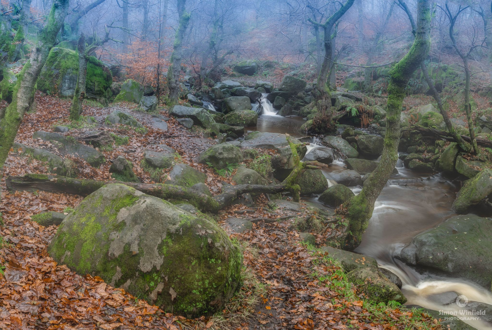 Padley gorge, United Kingdom