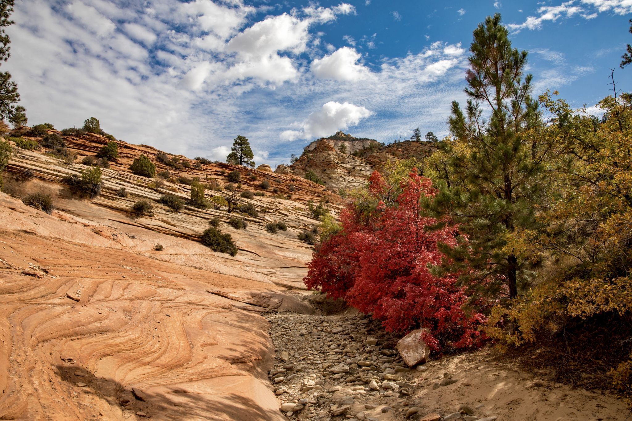 Pine Creek, USA