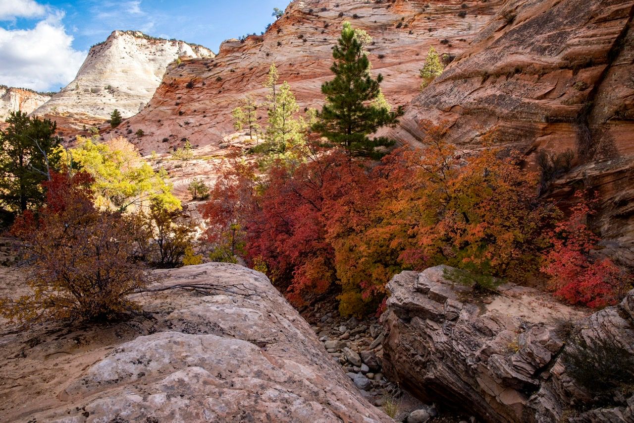 Pine Creek, USA