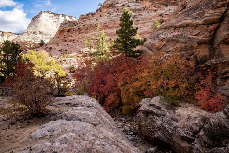 Pine Creek