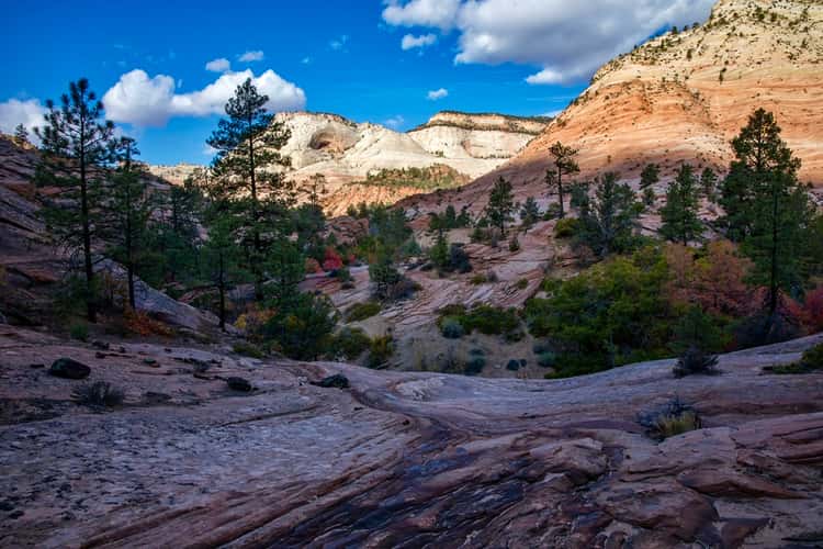 Pine Creek