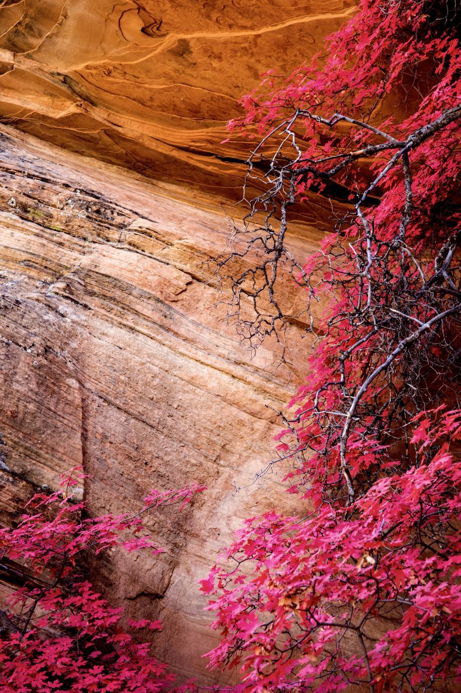 Pine Creek, USA