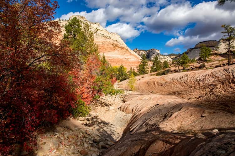 Pine Creek