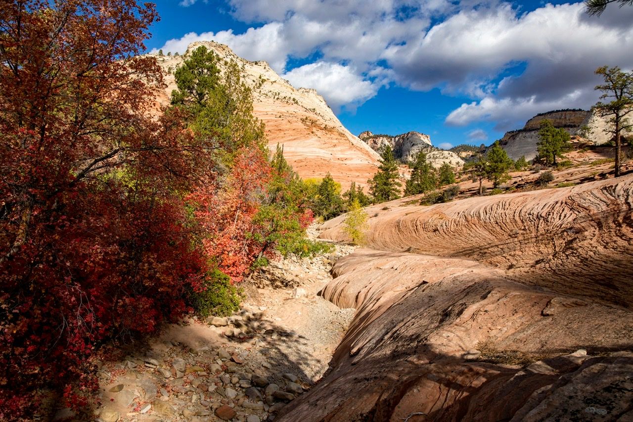 Pine Creek, USA