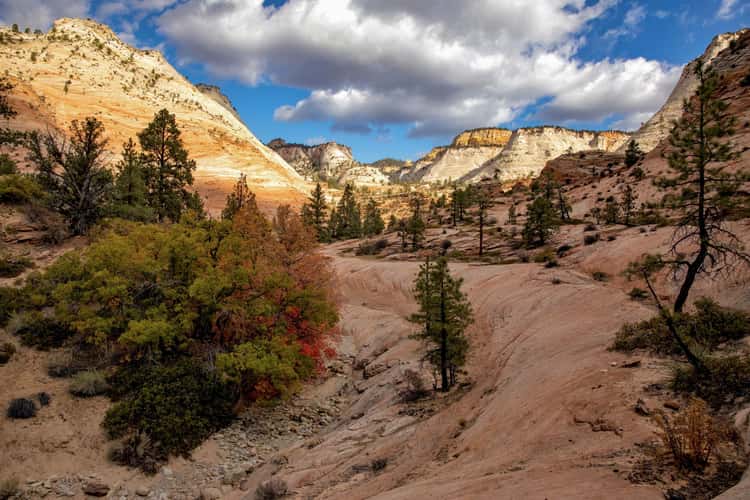 Pine Creek