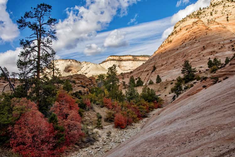 Pine Creek