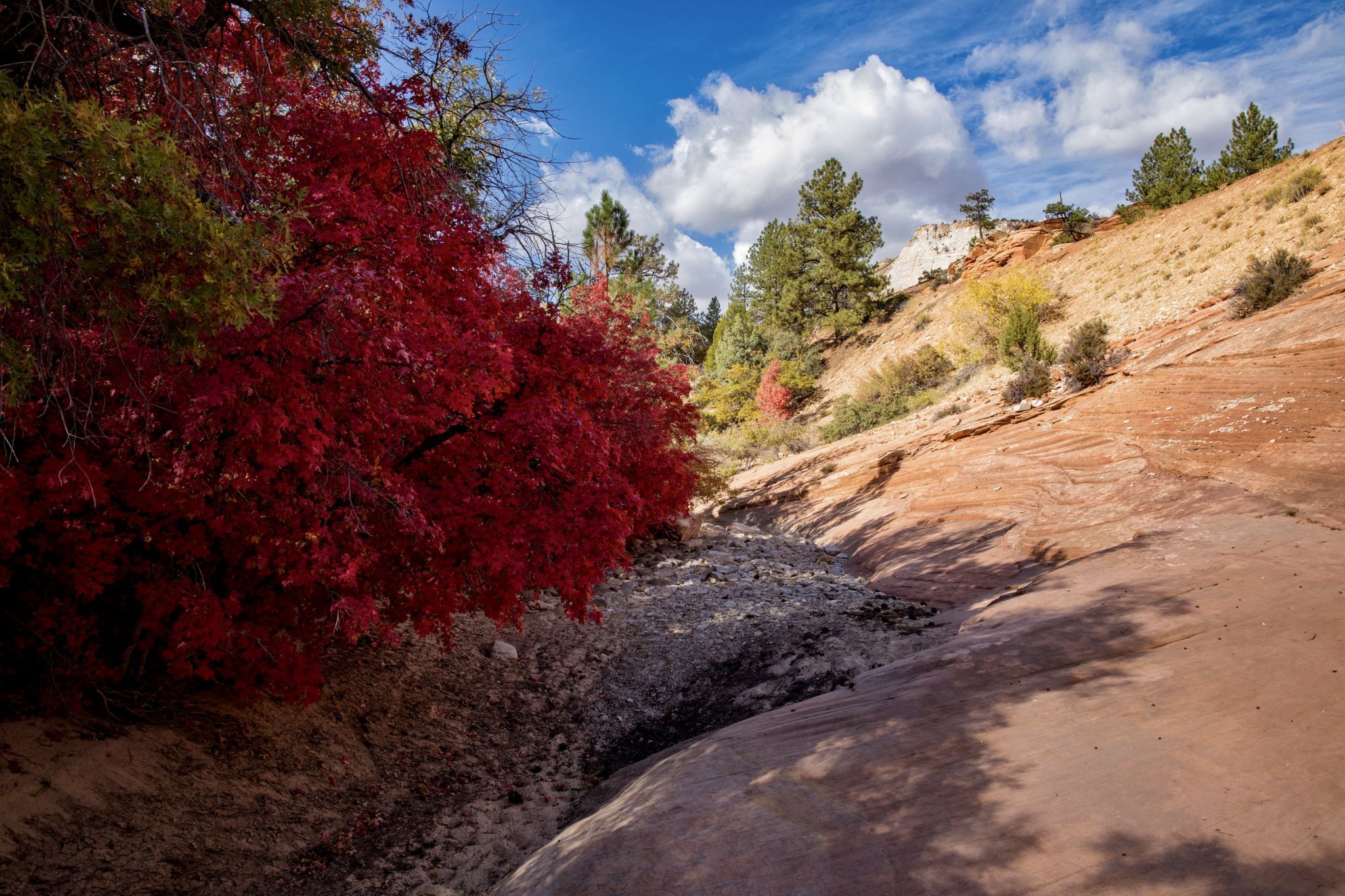 Pine Creek, USA