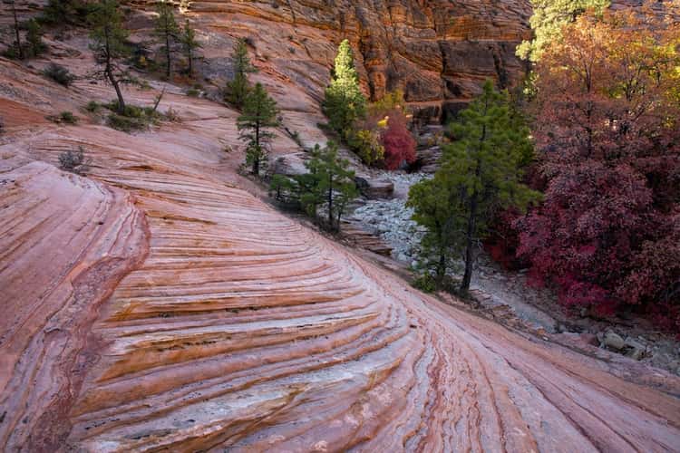 Pine Creek