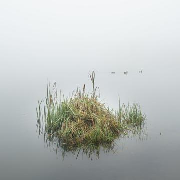 Podebrady Lake, Czechia Czech Republic, Czech Republic