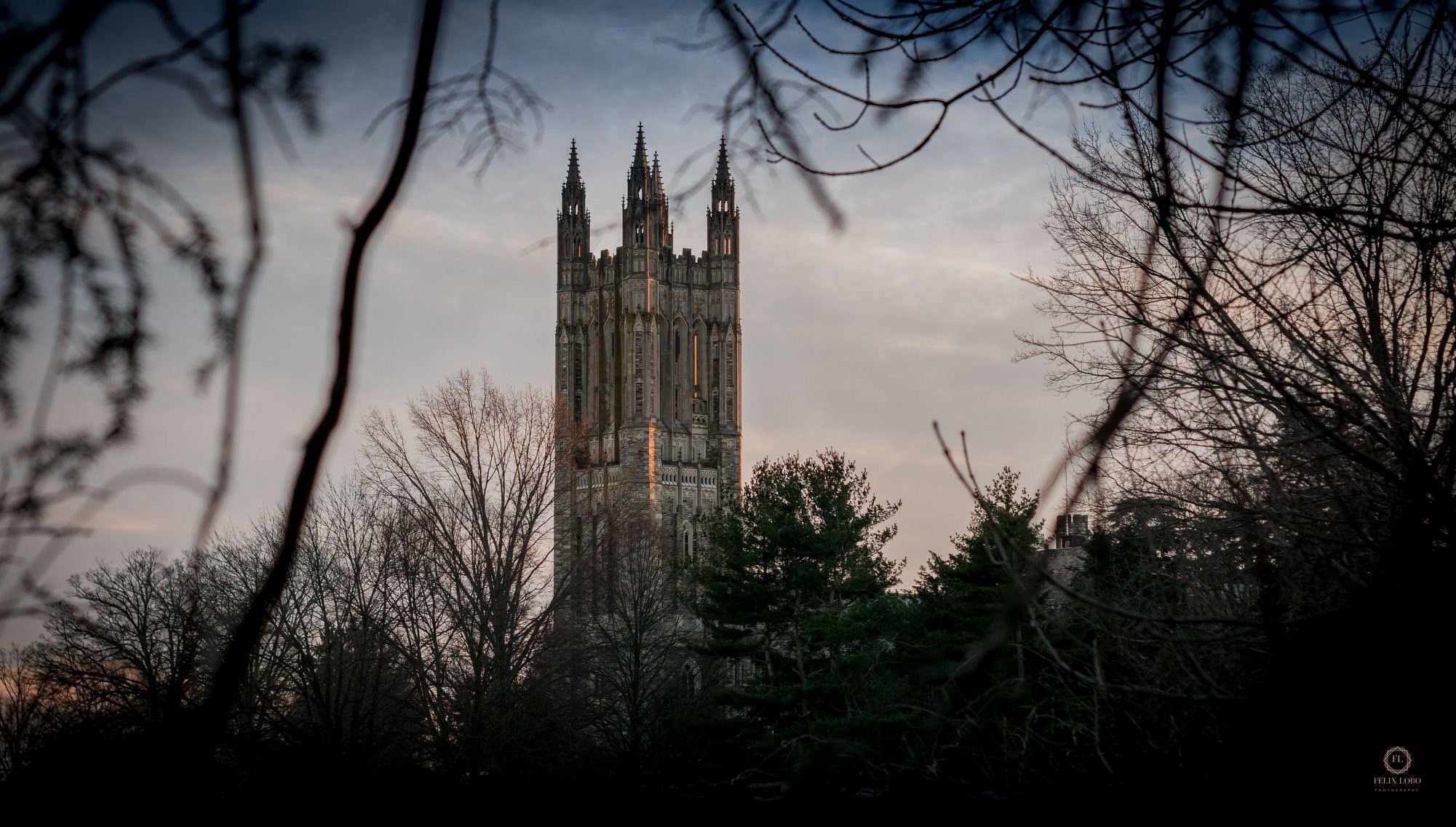 Princeton University, USA