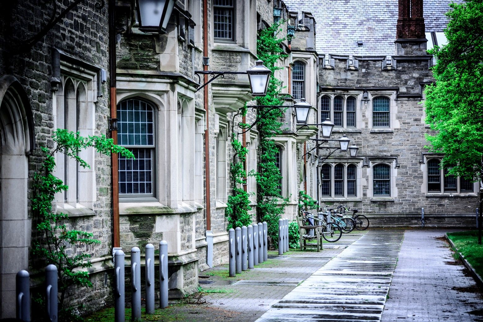 Princeton University, USA