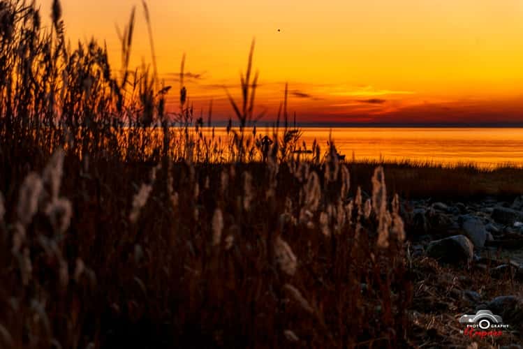 Rye Beach front
