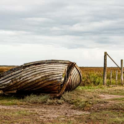 salt marsh, United Kingdom