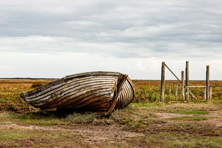 salt marsh