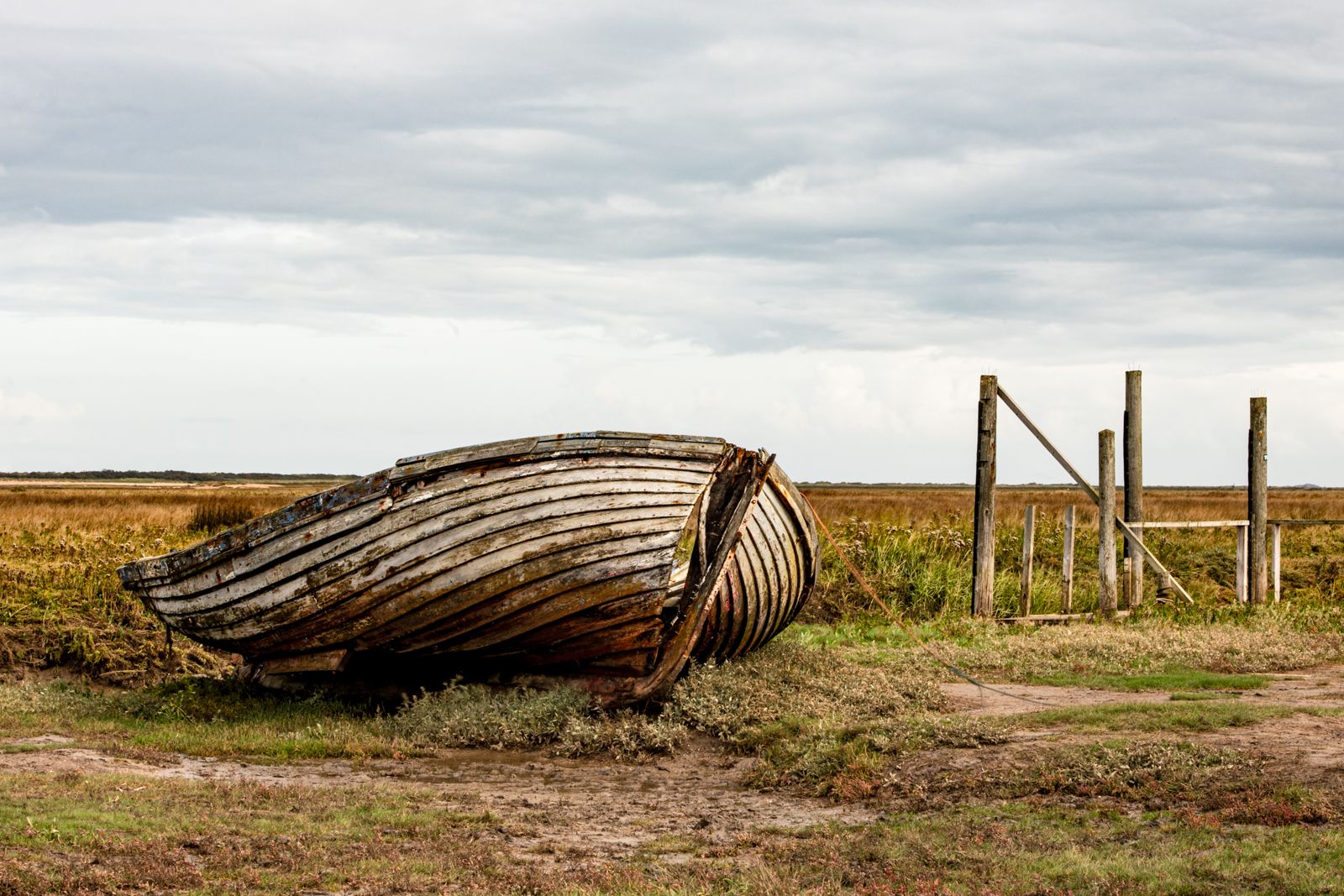 salt marsh, United Kingdom