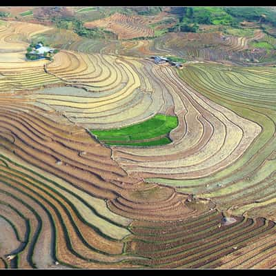 Sàng Ma Sáo, Vietnam