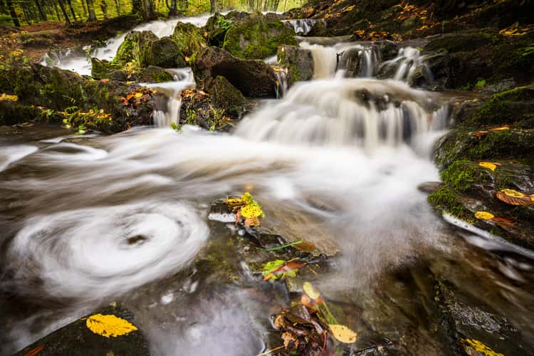 Selkefall - Saxony-Anhalt